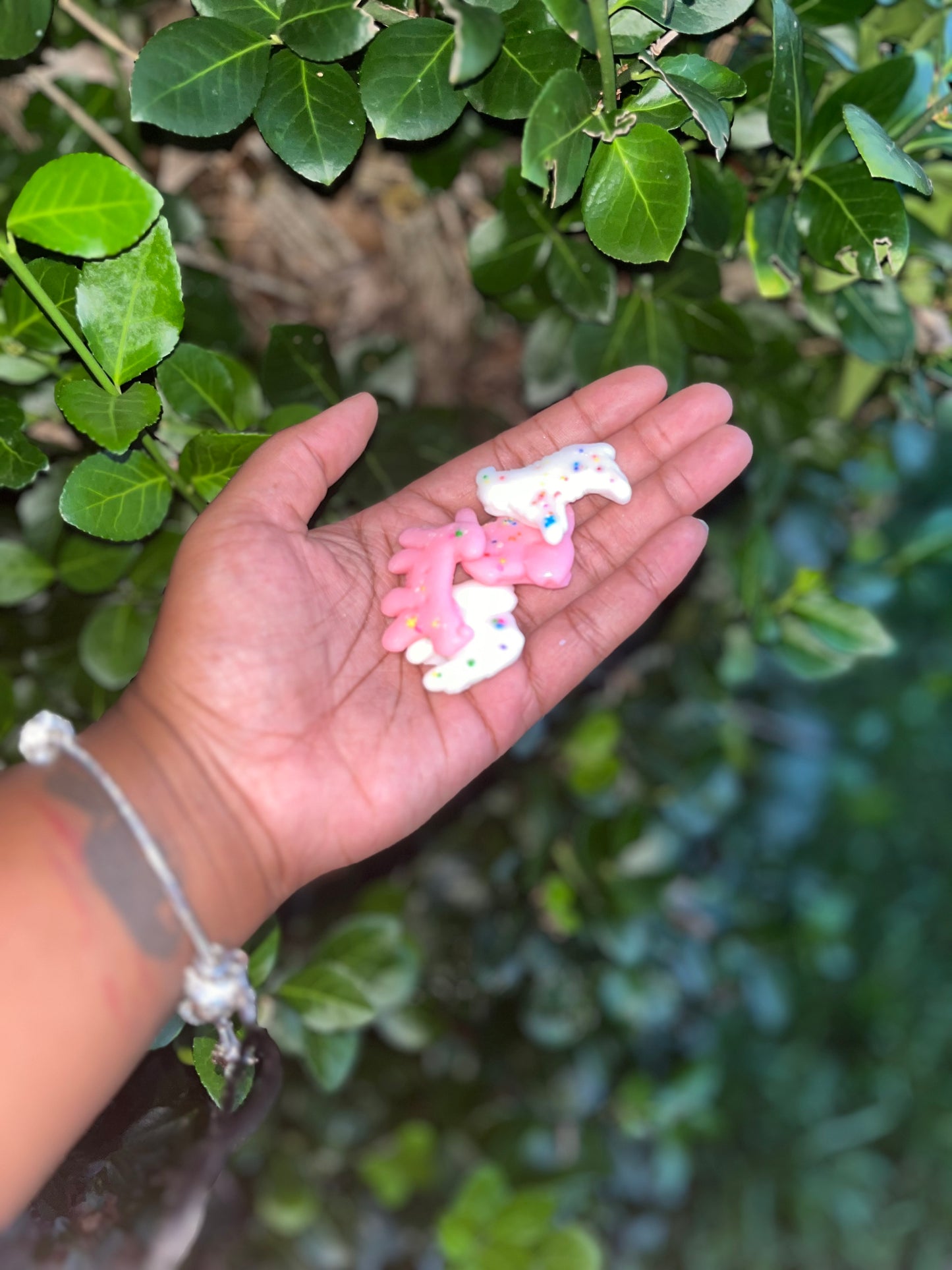 Animal Cookies Wax Melts