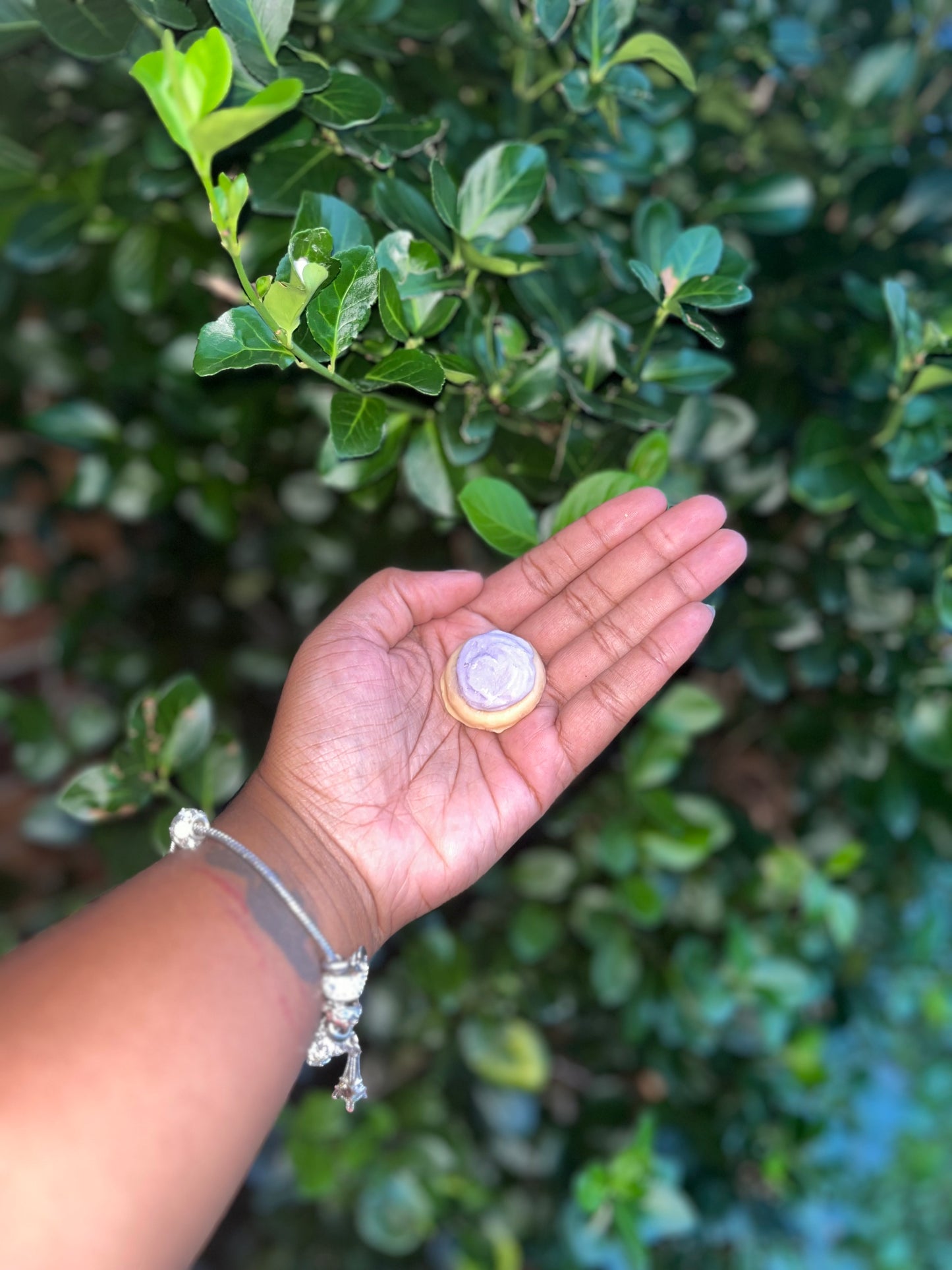 Blackberry Jam Cookie