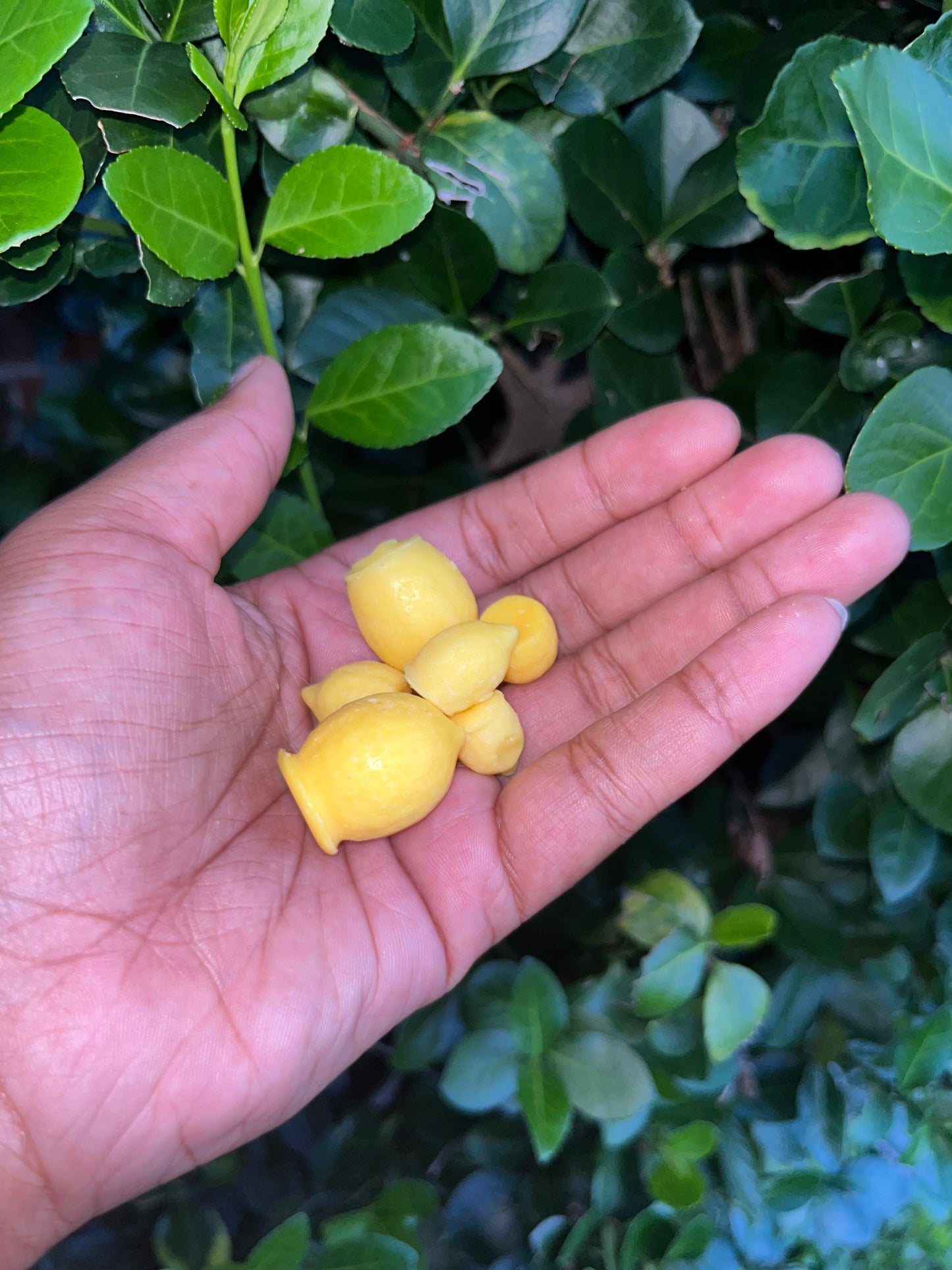 Lemon Drop Wax Melts