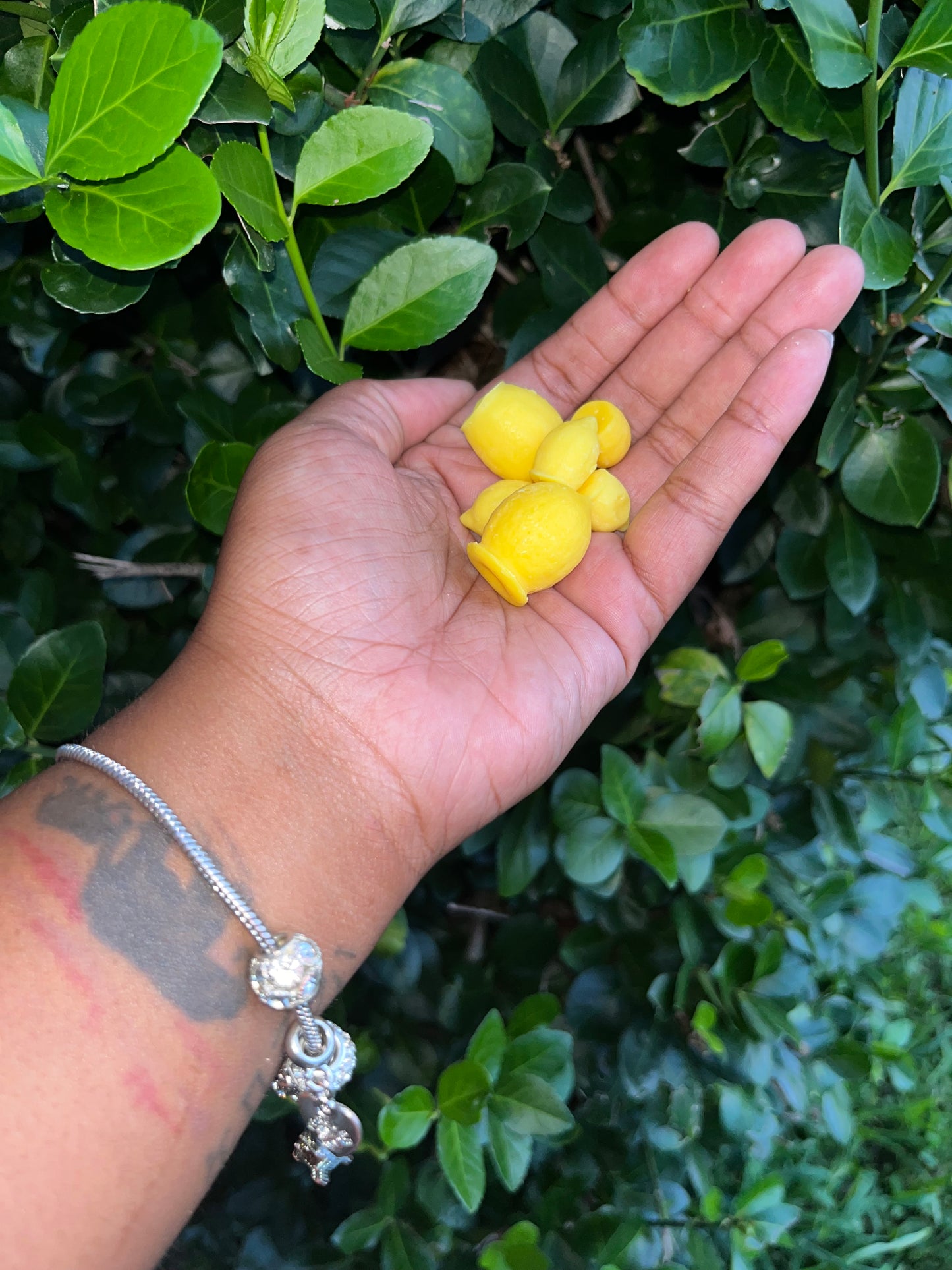 Lemon Drop Wax Melts