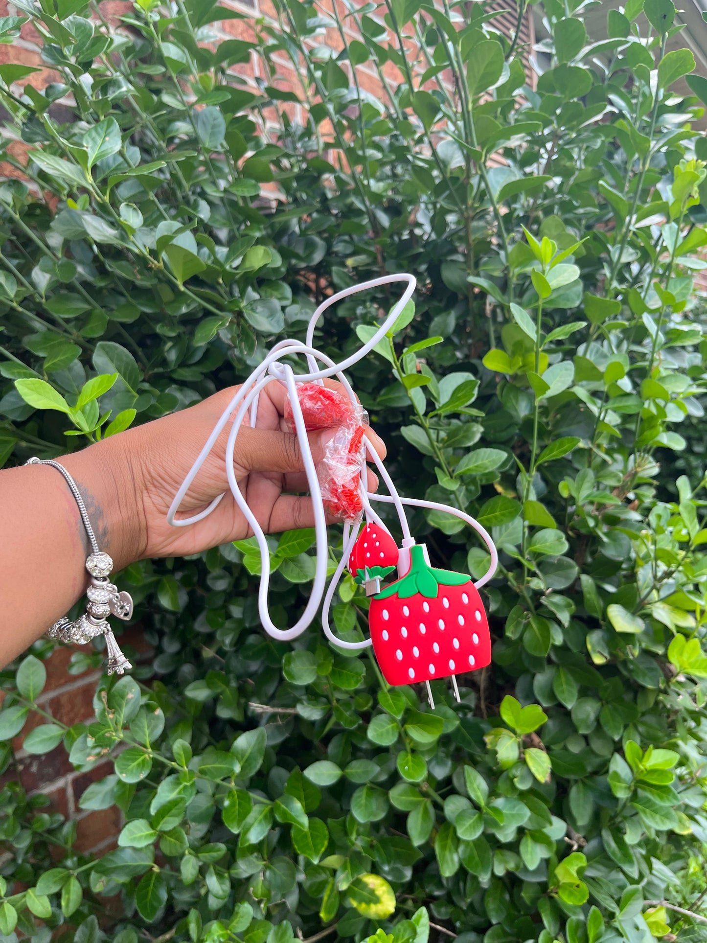 Strawberry Collection Exclusive Charger Wrap