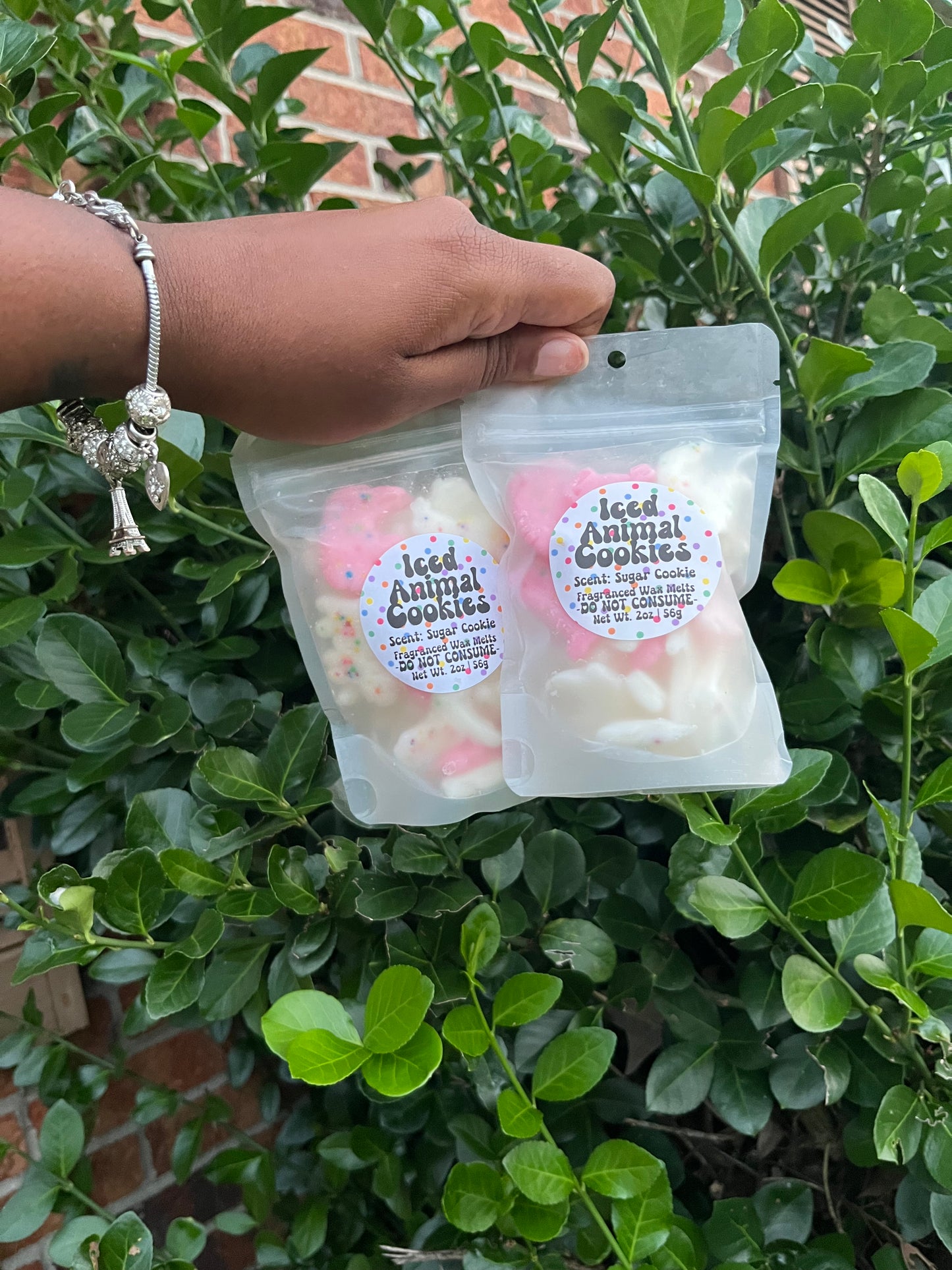 Animal Cookies Wax Melts