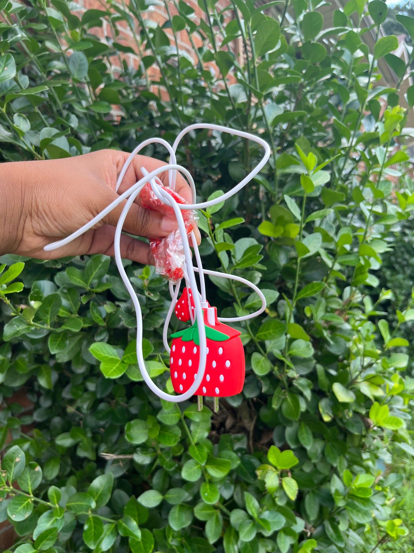 Strawberry Collection Exclusive Charger Wrap