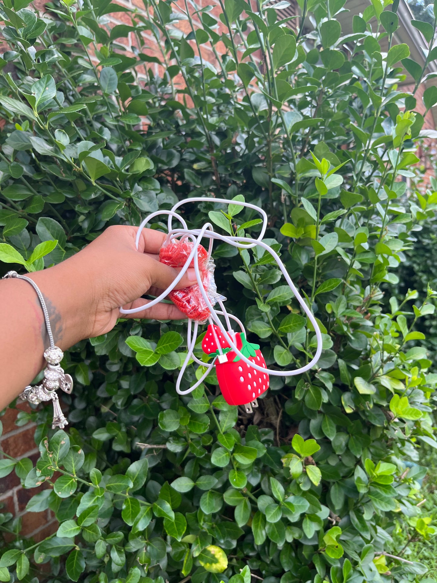 Strawberry Collection Exclusive Charger Wrap