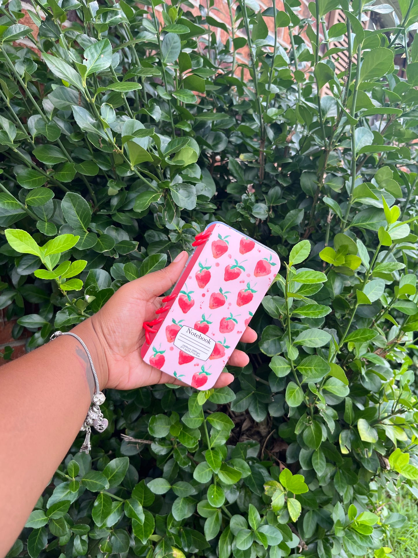 iPhone 13 Strawberry Notebook Case